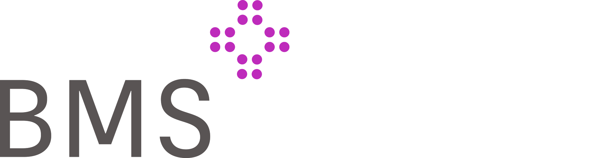 BMS Plus Your Healthcare HUB